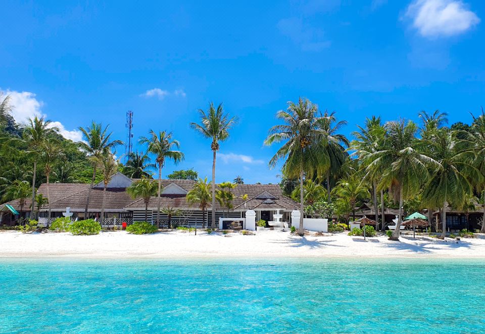 4. 사리 파시피카 ..