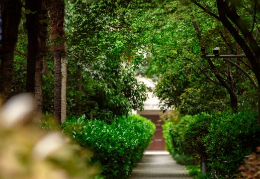 소피텔 레전드 피플스 그랜드 호텔 시안 외관