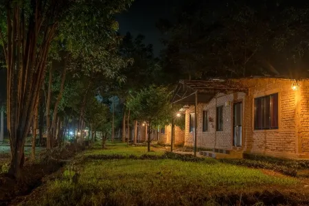 Nana Jungle Resort Near Chitwan National Park