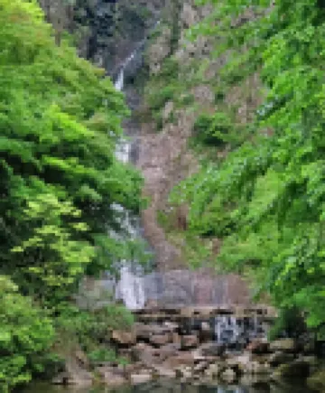 桐廬嶺上白雲民宿（白雲源度假區店） 鄰近白雲源的酒店