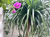 Nan'ao Shiluyuan Các khách sạn ở Nam Áo