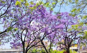 Grand Park Kunming