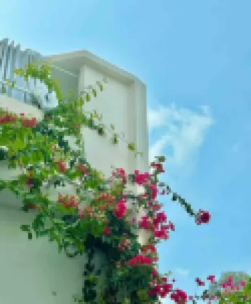 Bandlive中國青旅