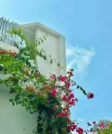 Bandlive Backpacker Hostel