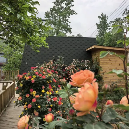 Xinmi Jiayibingding Homestay