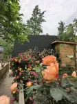Xinmi Jiayibingding Homestay