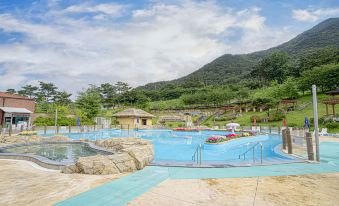 WELLPARK HOTEL GOCHANG