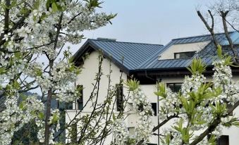 Homecoming·Snowman Mountain Guesthouse