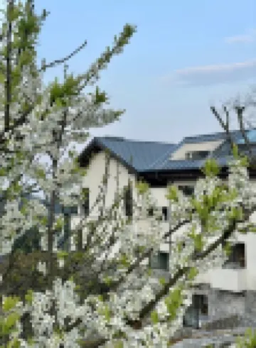 仙女山·歸原·在山ブティックリゾート民宿 武隆区政府/武隆カルスト観光区のホテル