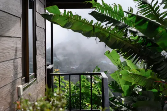 ม่อนวิวงาม ห้องพัก  Photos