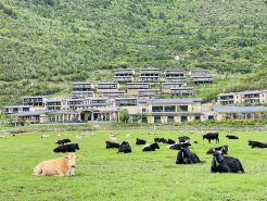 High Mountain Resort Shangri-La