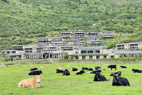 가오산볘좡·샹그릴라 호텔