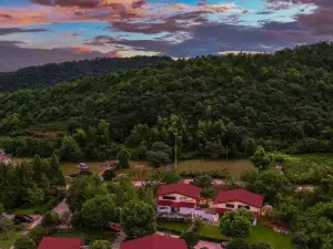 Changxing Lin Yin tea language homestay