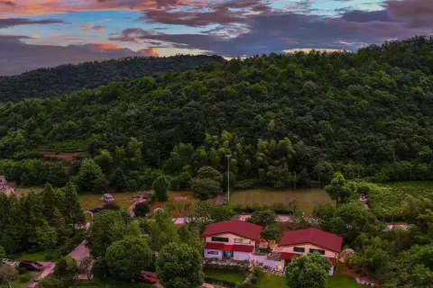 Changxing Lin Yin tea language homestay