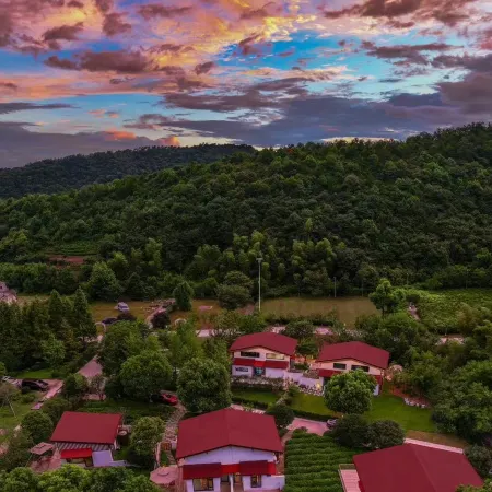 Changxing Lin Yin tea language homestay