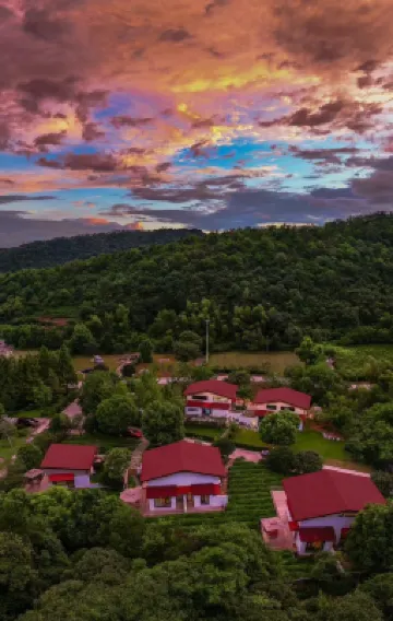 Changxing Lin Yin tea language homestay