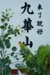 Jiuhua Mountain Spring Field Letter Guesthouse