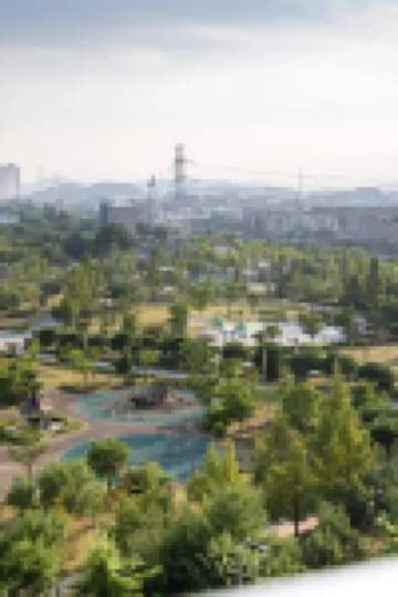 STAYFY PAJU K HILLS