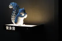 Changbai Mountain Pureland Hot Spring Resort Hotel - 피트니스 시설