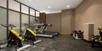WANGFENG RESORT HOTEL - gimnasio