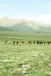 Xi Shan You Yu · HiCorer · Mountain Wilderness Retreat (Kanas Scenic Area Branch)