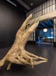 Sanqingshan Cuiwei Hotel - romantici