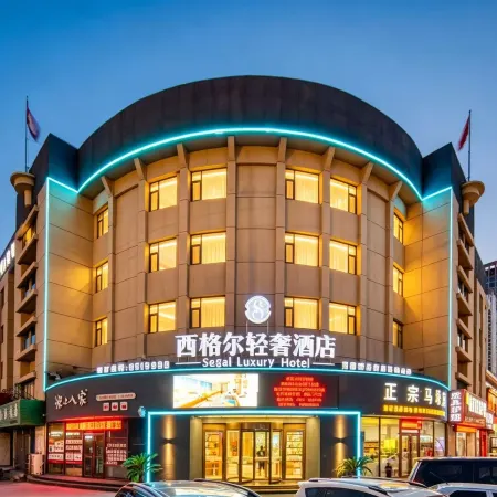 Dongying Siegel Light Luxury Hotel
