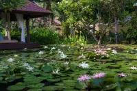 เชอราตัน ปราณบุรี หัวหิน วิลล่า - ที่มีฟิตเนส