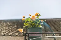 Zhoushan Haizhouwan B&B (Taohua Island Shop) Hotels in Peach Blossom Island/Anqi Peak