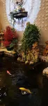 Tongqing Homestay
