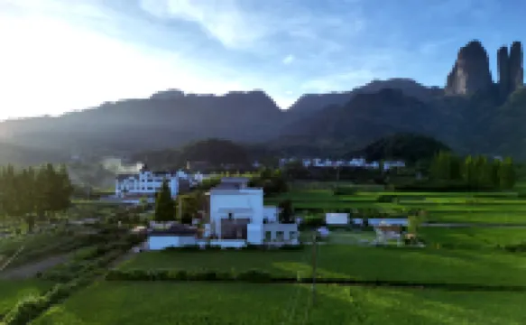 MOUNTAIN FIELD  FLOWER HOUS