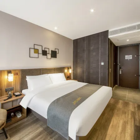 Homeinn Plus Hotel (Ziyang High-speed Railway North Station District Government)