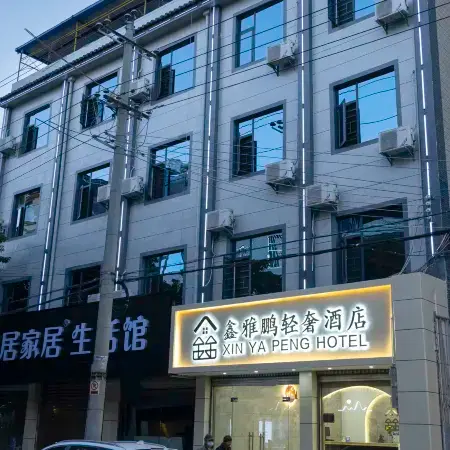 Dayao Xin Yapeng Light Luxury Hotel