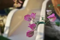 Muyu Yujia Story Boat House B&B Các khách sạn ở Linh Thủy