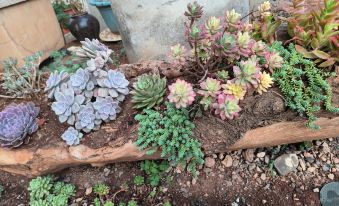 Maitreya Hingzaki Hotel