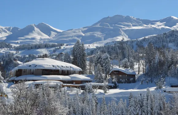 斯託斯健康酒店