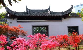 Liangyou Xishihui