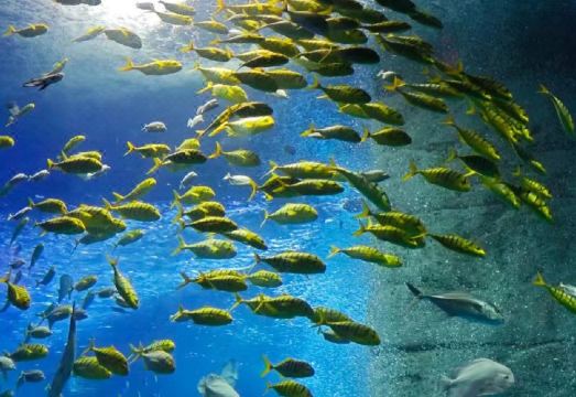 5. 이즈히 호텔 -..