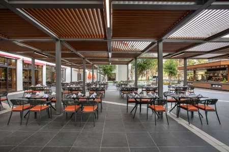 Megasaray Resort Side Отели в г. Сиде