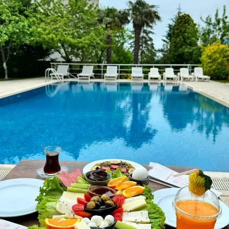 Treekos Suite Hotel