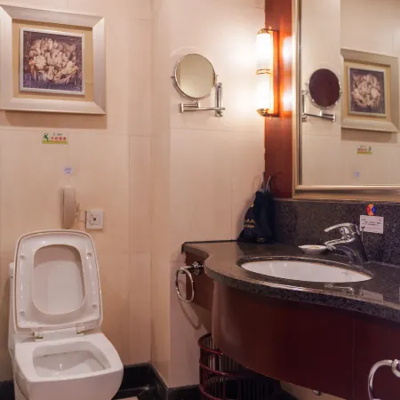 Luoyang Friendship Hotel (Peony Square Metro Station)