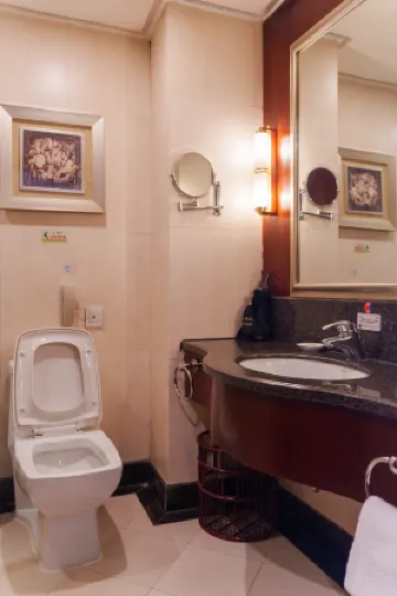 Luoyang Friendship Hotel (Peony Square Metro Station)