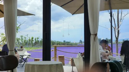 Shuxia Homestay (Huanghuangcun Branch)