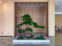 โรงแรมนานาชาติอูซี่