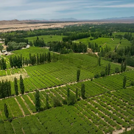 Turpan Grape Spring Inn