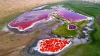 Zhongwei Star Guide | Parent-Child Study Tour | Desert Lakes | Five Lakes Crossing | Camping Base