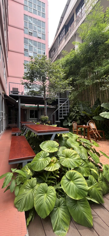 รูปภาพของโบนิต้าเฮ้าส์