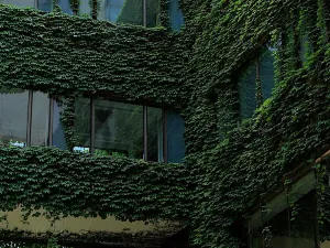 大連香格里拉大飯店