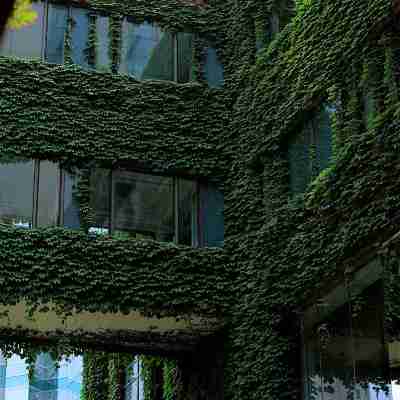 大連香格里拉大酒店 Hotel Exterior