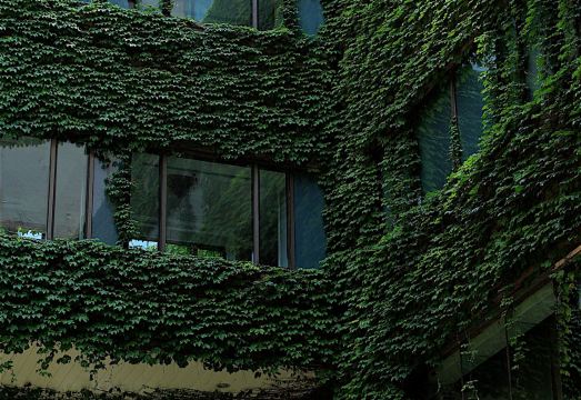 샹그릴라 다롄 이미지